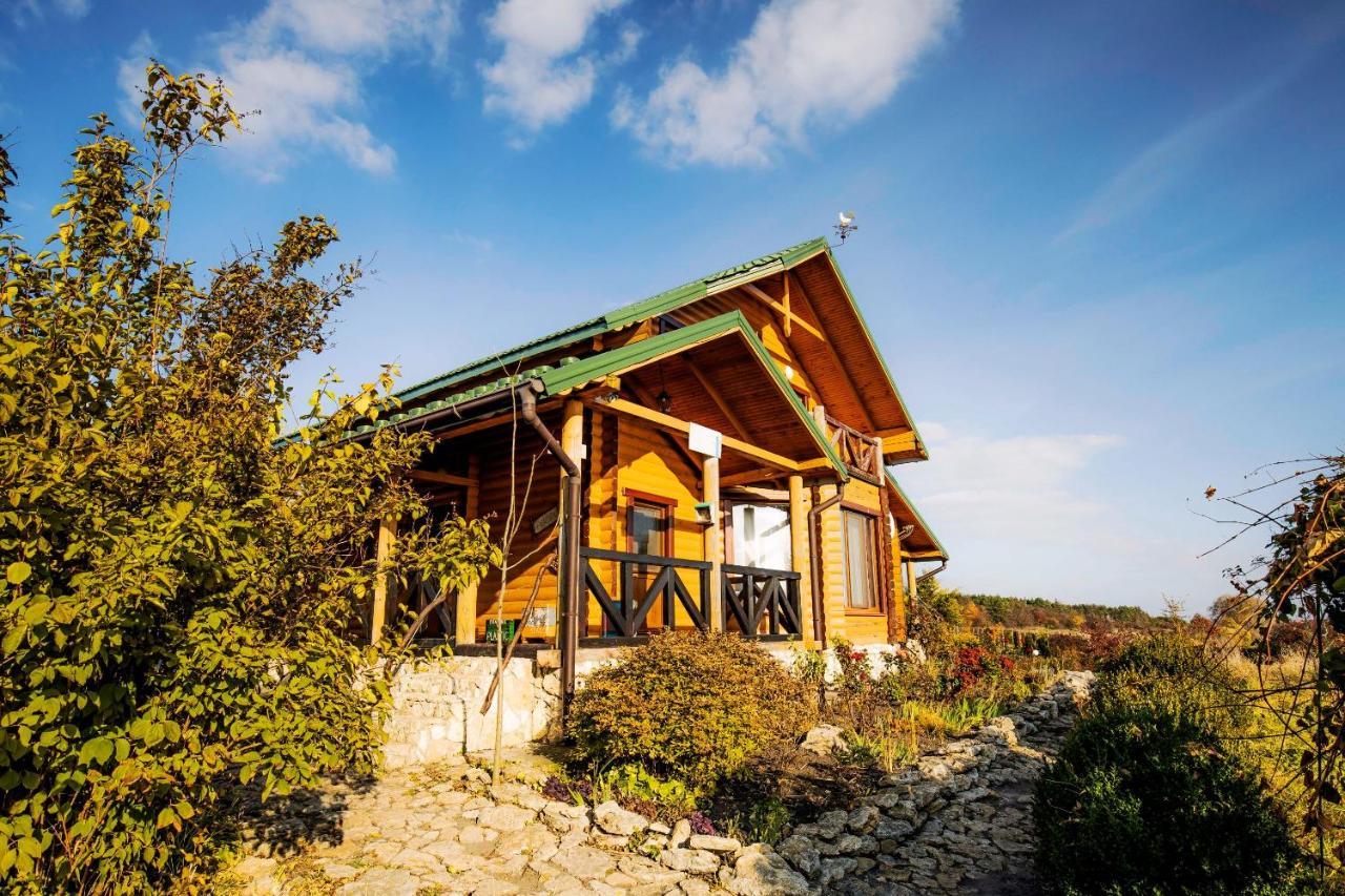 Country House Domik V Derevne Markovtsy  Zewnętrze zdjęcie