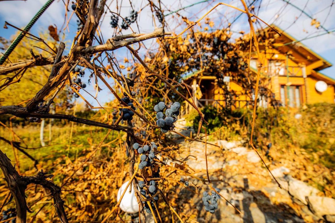 Country House Domik V Derevne Markovtsy  Zewnętrze zdjęcie