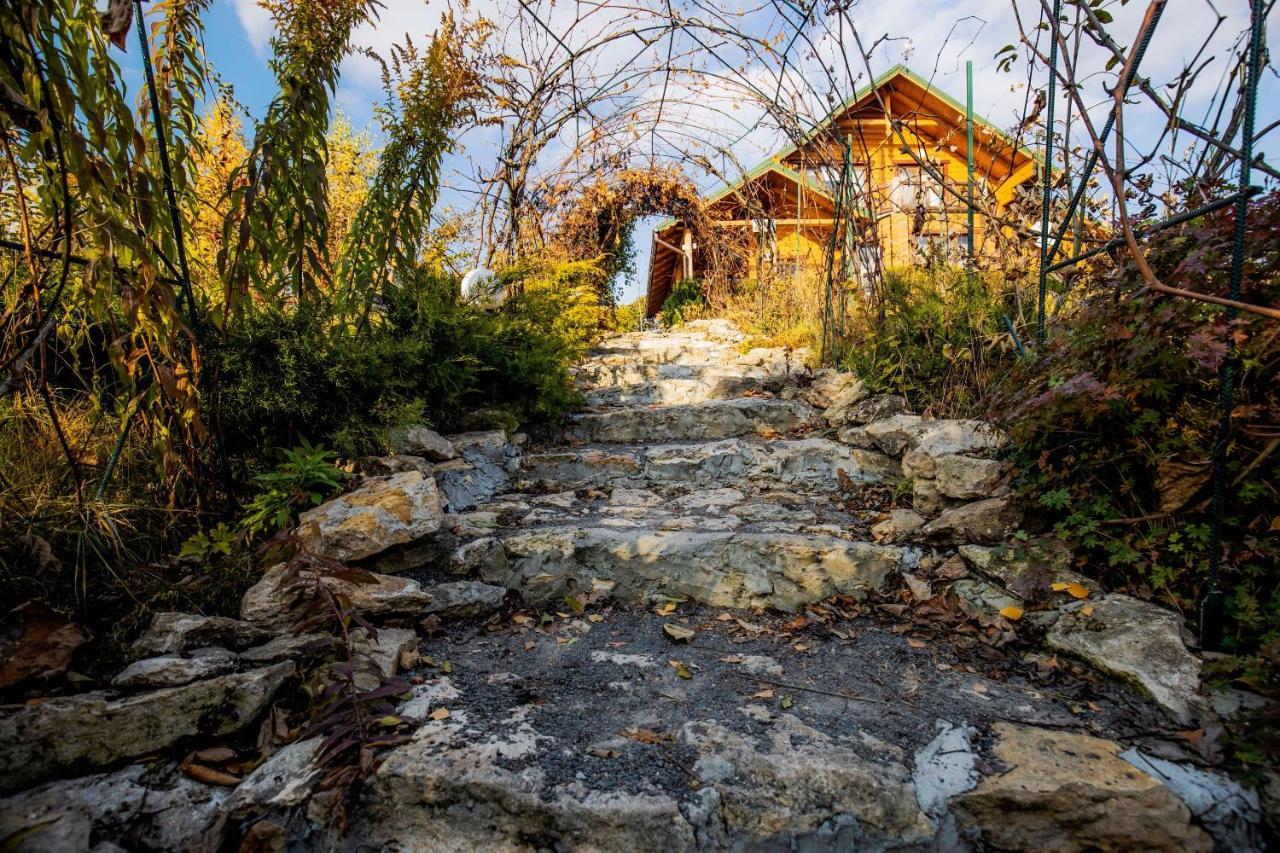 Country House Domik V Derevne Markovtsy  Zewnętrze zdjęcie