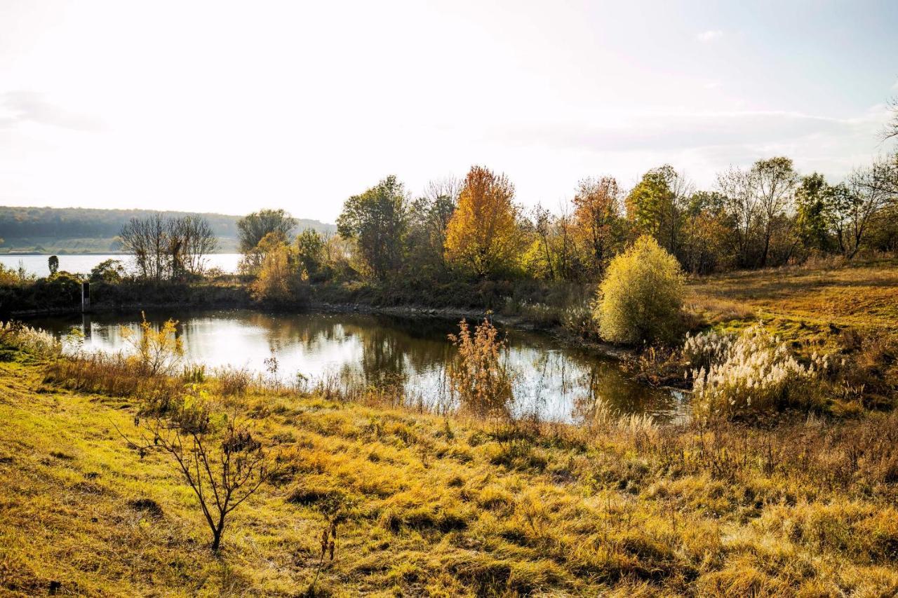 Pensjonat Country House Domik V Derevne Markovtsy  Zewnętrze zdjęcie