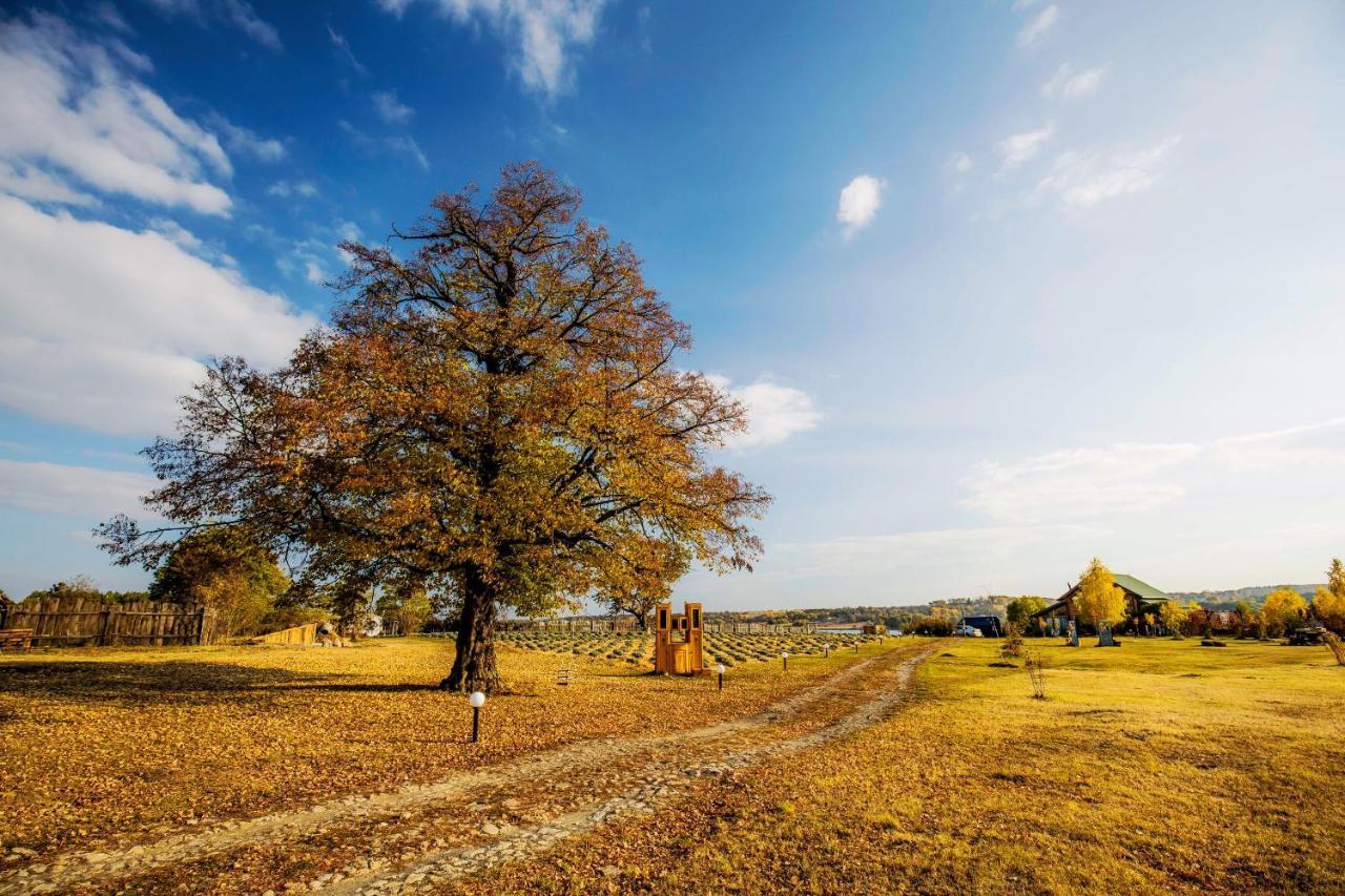 Pensjonat Country House Domik V Derevne Markovtsy  Zewnętrze zdjęcie